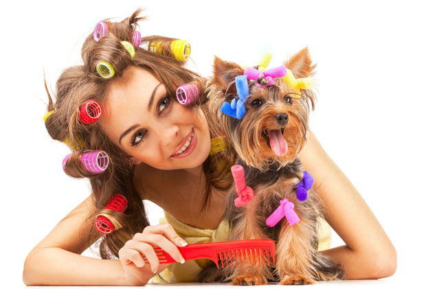 Сноб сам, тиме се дичим